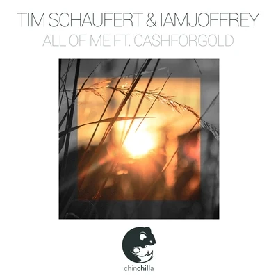 All Of Me 專輯 Tim Schaufert