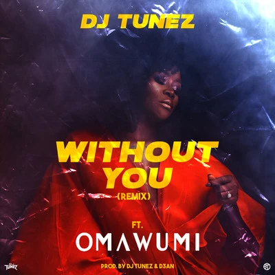 Without You (Remix) 专辑 Leriq/Dj Tunez