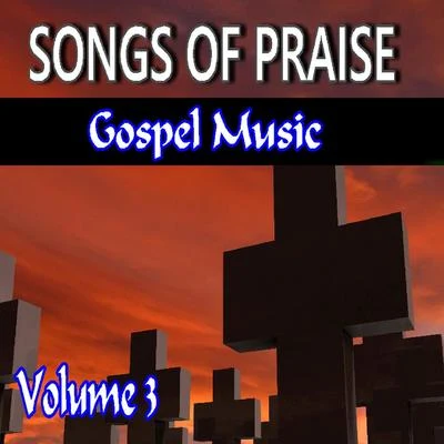 Songs of Praise Gospel Music, Vol. 3 專輯 John White