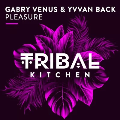 Pleasure 專輯 Gabry Venus