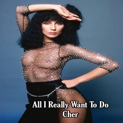 All I Really Want To Do - Cher 专辑 Cher