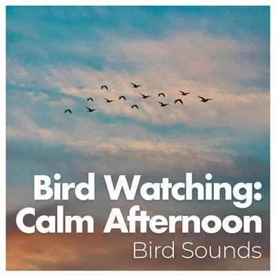 Bird Watching: Calm Afternoon 专辑 Bird Sounds