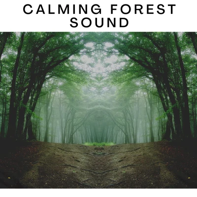 Calming Forest Sound 專輯 ASMR Earth