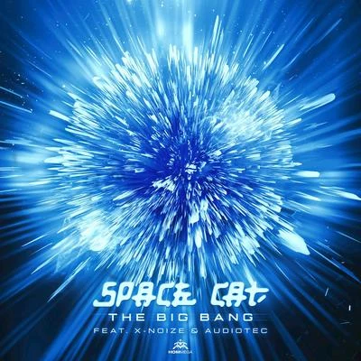 Space Cat The Big Bang