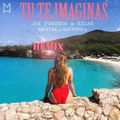 Tu Te Imaginas (Remix) 專輯 Exlau