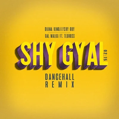 Shy Gyal (Dance Hall Remix) 專輯 DJ Gal Malka/Subliminal/Gad Elbaz/The Ultras/Ran Shafir