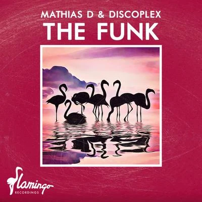 Discoplex The Funk (Extended Mix)