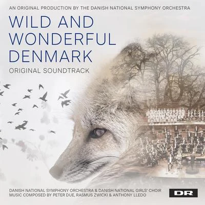 Wild and Wonderful Denmark (Music from the Original TV Series) 專輯 Danish National Symphony Orchestra