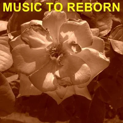 Music To Reborn 专辑 Hugh Cornwell/Robert Williams