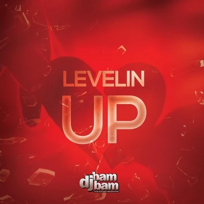 Levelin Up 專輯 DJ Bam Bam