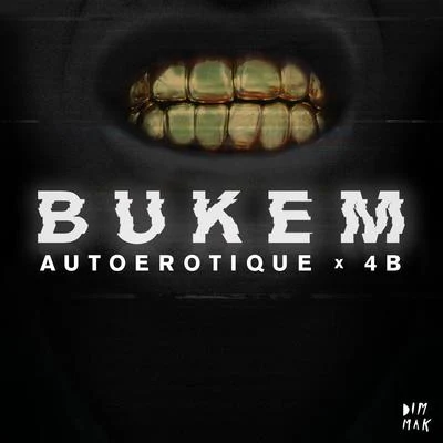 Bukem 专辑 Ghrym/4B/Junkie Kid