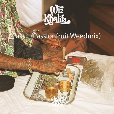 Passit 專輯 Wiz Khalifa/Giselle/London Grammar/Daughter/Moby