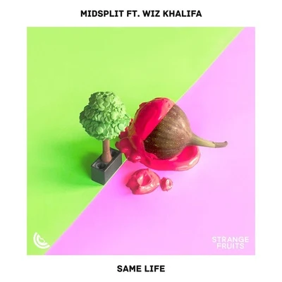 Same Life 專輯 Midsplit