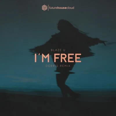 Im Free (Debris Remix) 專輯 Dominik Koislmeyer/Blaze U