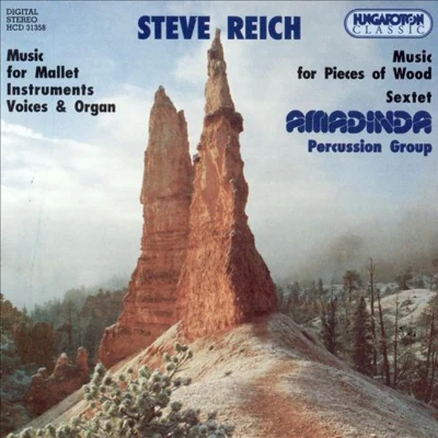 Music for Mallet Instruments 專輯 Steve Reich/Slovak Philharmonic Chorus/The Band/YaZ/The Broadway Inspirational Voices