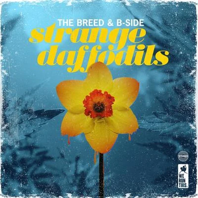 Strange Daffodils 專輯 The Breed