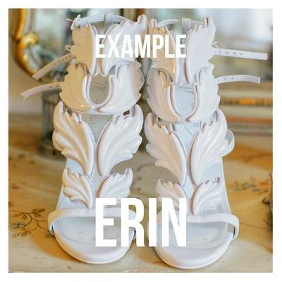 Erin 專輯 Example