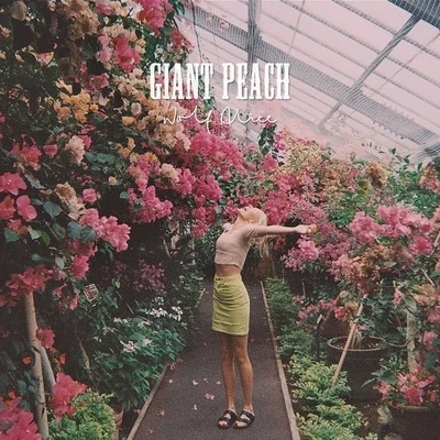 Giant Peach 专辑 Wolf Alice