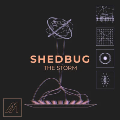 Shedbug The Storm