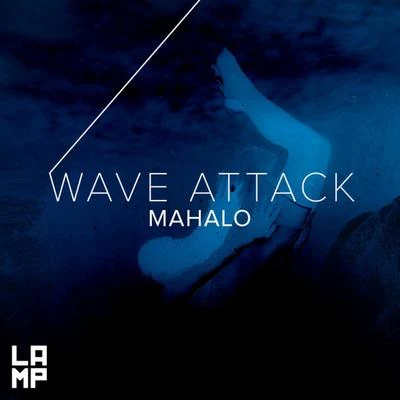 Mahalo Wave Attack