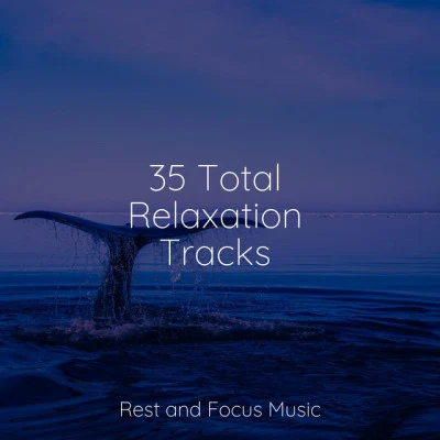 35 Total Relaxation Tracks 專輯 Exam Study Classical Music