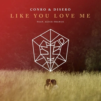 Like You Love Me 專輯 Disero