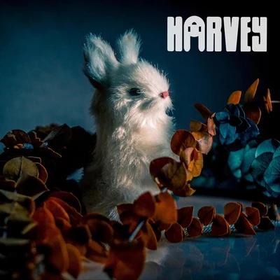 Animals 專輯 Harvey/FSB/Inadze