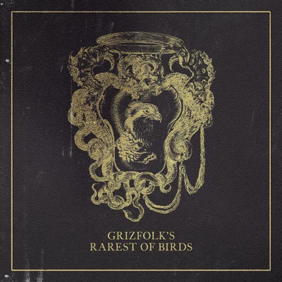 Rarest of Birds 专辑 Grizfolk/Jamie N Commons