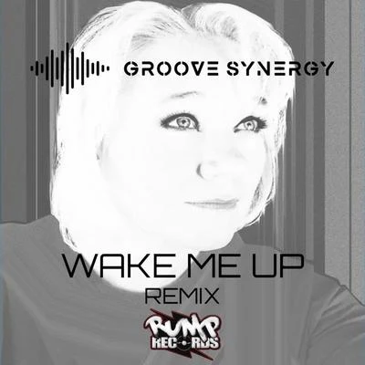 Shelley NelsonNathan Haines Wake Me Up (Groove Synergy Remix)