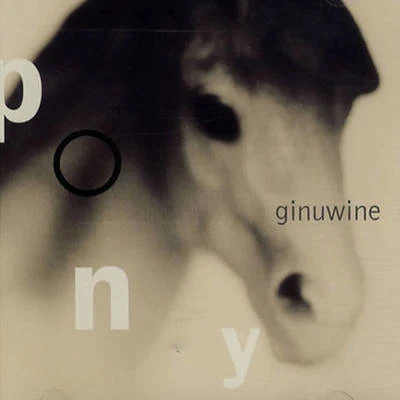 Ginuwine Pony