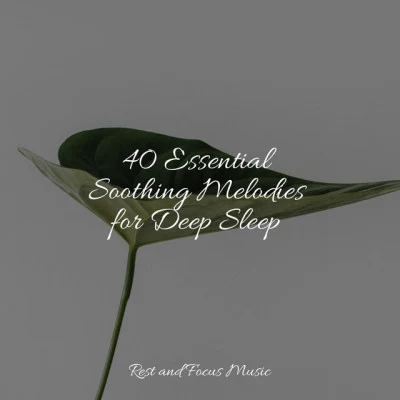 40 Essential Soothing Melodies for Deep Sleep 专辑 ASMR/Tinnitus