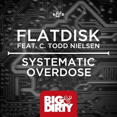 Systematic Overdose 专辑 Flatdisk