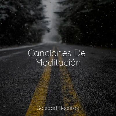 Canciones De Meditación 專輯 Mantra para Meditar/Musica relajante con sonidos de la naturaleza/Canciones De Cuna Para Dormir Bebes