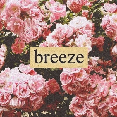 Breeze 專輯 Sweet Teeth/TakeFive