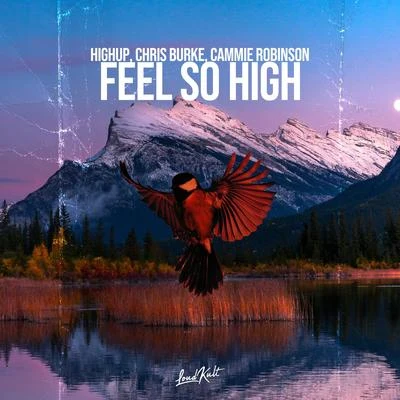 Feel so High 專輯 Aéro Jay/Cammie Robinson