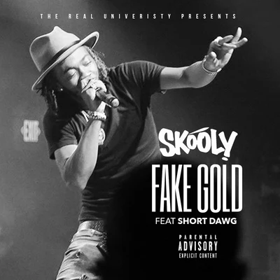 Fake Gold (feat. Short Dawg) - Single 专辑 Skooly