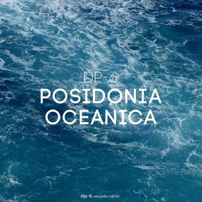 Posidonia Oceanica 专辑 Eddi Shkiper/DP-6/Underset