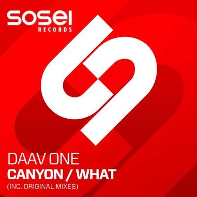 Canyon E.P 专辑 Daav One