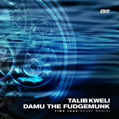 Time Leak 专辑 Damu the Fudgemunk