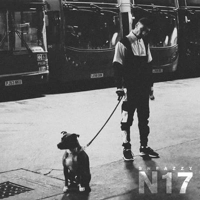 SneazzyNekfeu N17