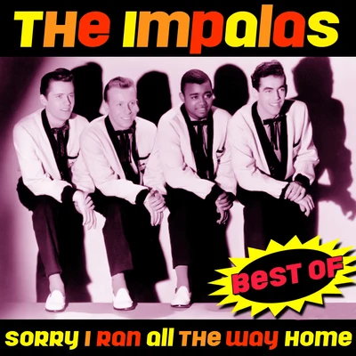 Sorry (I Ran All The Way Home) - Best Of 专辑 The Impalas/Thoma Wayne/The DeLons/Ray Bob/The Graduates