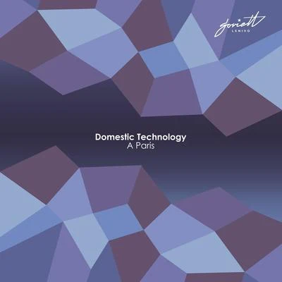 A Paris 专辑 Domestic Technology