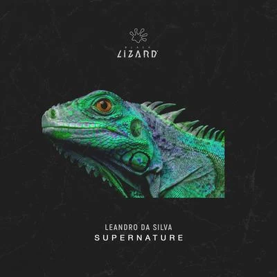 Leandro Da Silva Supernature (Extended Mix)