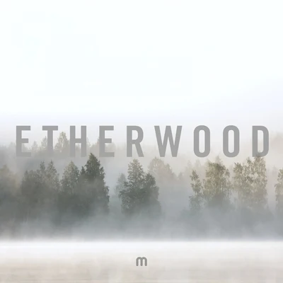 In Stillness 專輯 Etherwood