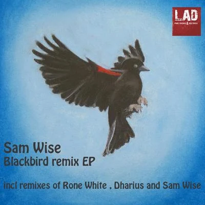 Blackbird Remixes 專輯 Sam Wise