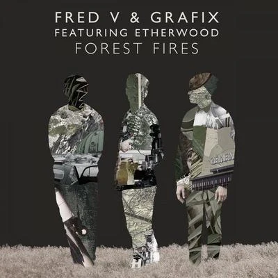 Fred V Forest Fires