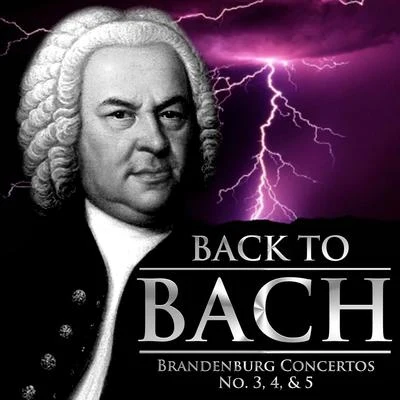 Back to Bach: Brandenburg Concertos No. 3, 4, & 5 专辑 Gottfried Schneider/Munich Chamber Orchestra/Hans Stadlmair