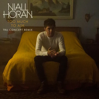 Niall Horan Too Much To Ask (TRU Concept Remix)