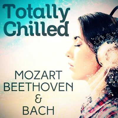 Totally Chilled - Mozart, Beethoven and Bach 專輯 Václav Hudecek/Petr Adamec/Antonín Dvořák