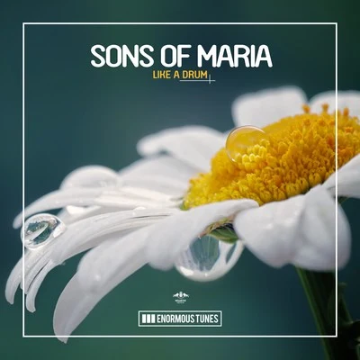 Sons Of Maria Like a Drum